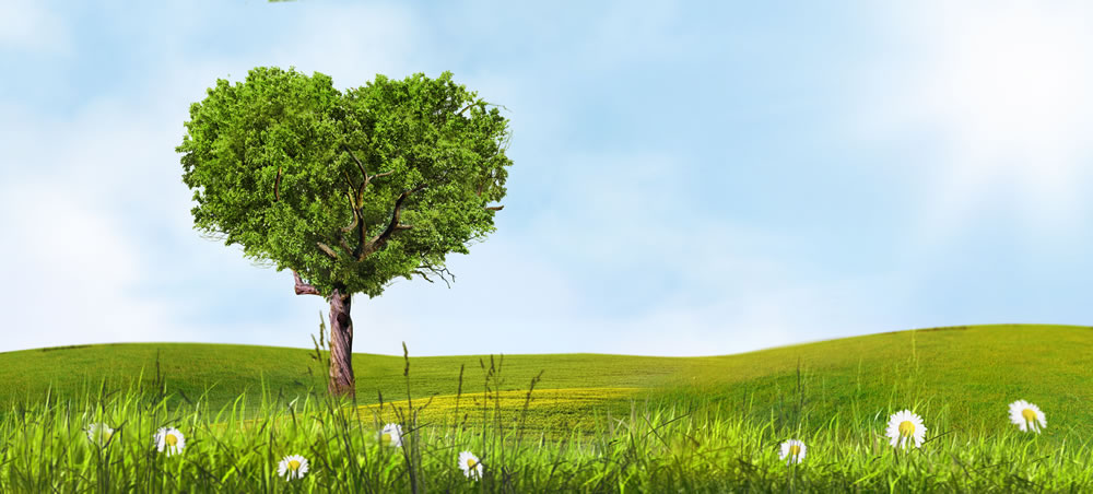 HP focuses on sustainability as more workers look to print at home