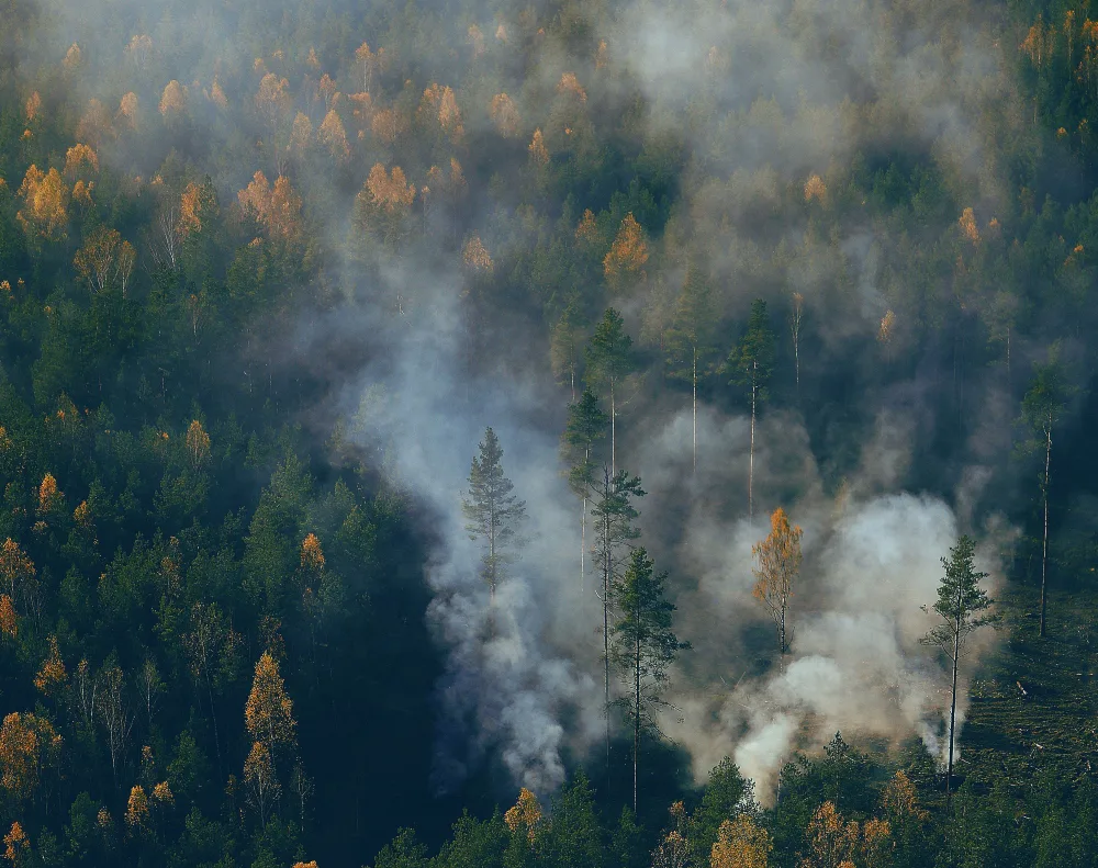 How thermal drones help prevent wildfires from reigniting