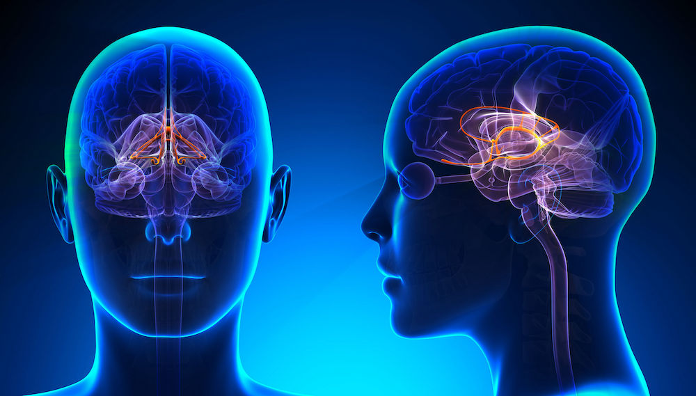 Push for ‘neuro-rights’ as mind-reading technology improves