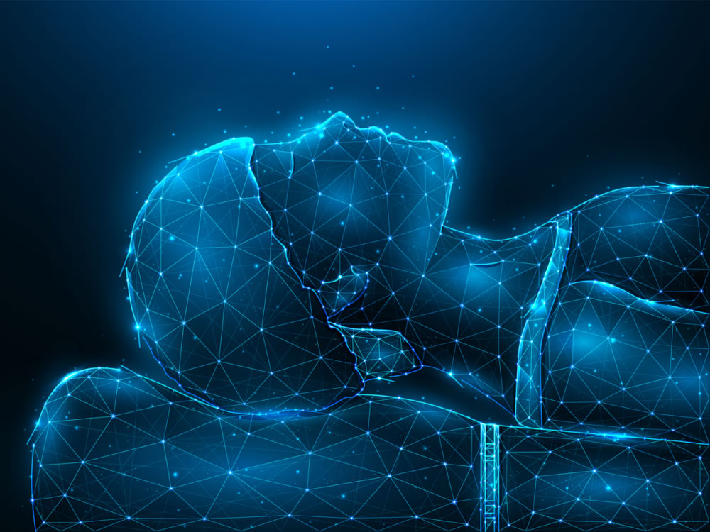 Putting AI systems to sleep: preventing catastrophic forgetting