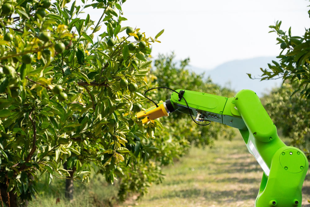 RoboCrop project uses autonomous robot dog to improve farming