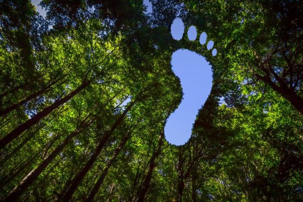 Sign up for Cisco’s new sustainability specialisation and get the benefits of Select too