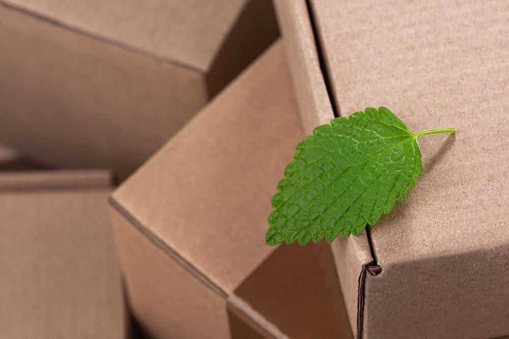 TD SYNNEX achieves higher EcoVadis Rating for ESG
