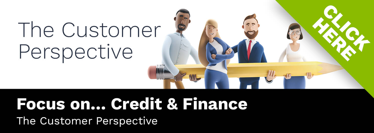 The Customer Perspective
