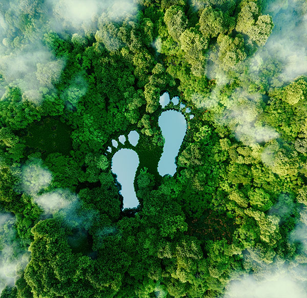 AI for Reducing Carbon Footprint