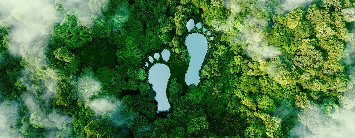 Reducing carbon footprint